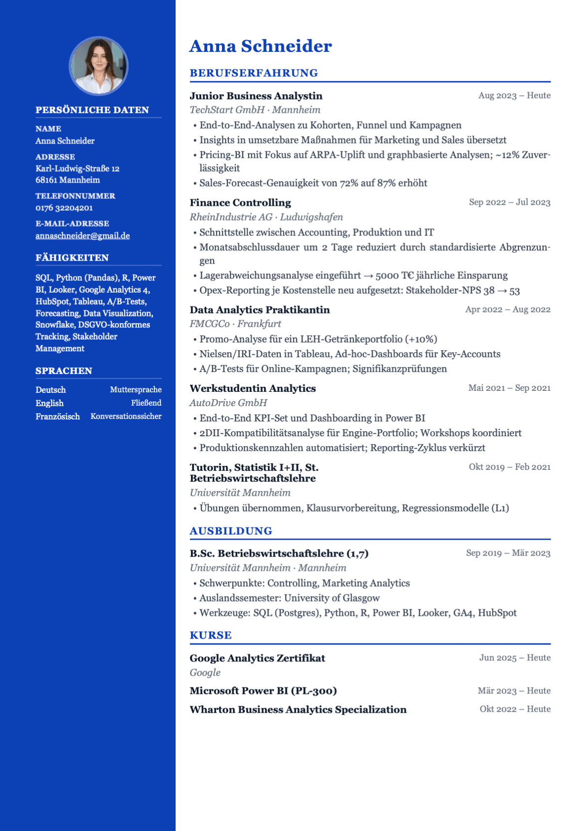 Professional resume template